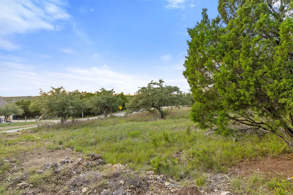 Mirela Ann Road Dripping Springs, TX 78620