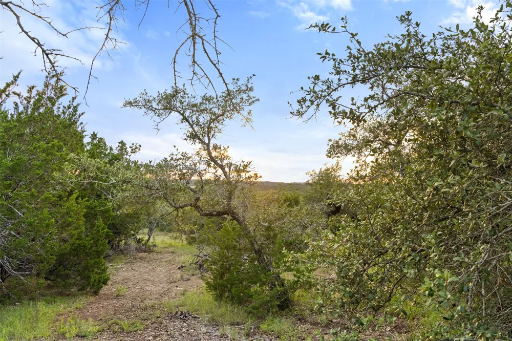 Mirela Ann Road Dripping Springs, TX 78620
