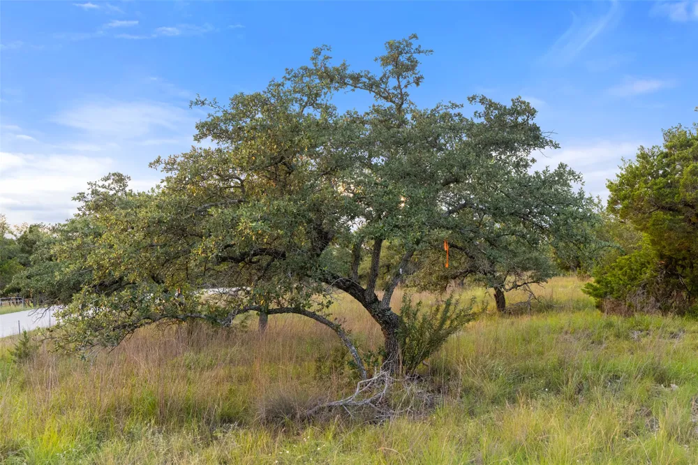 Mirela Ann Road Dripping Springs, TX 78620