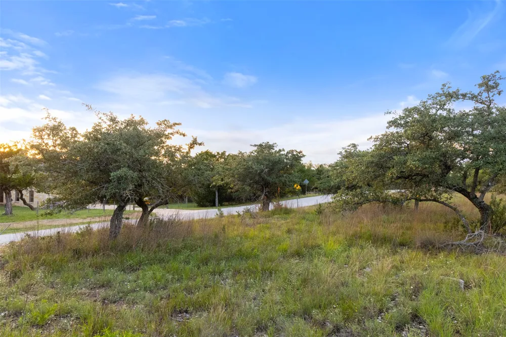 Mirela Ann Road Dripping Springs, TX 78620