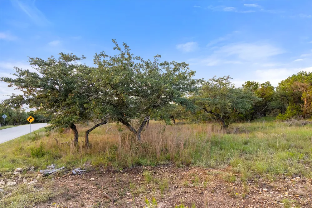 Mirela Ann Road Dripping Springs, TX 78620