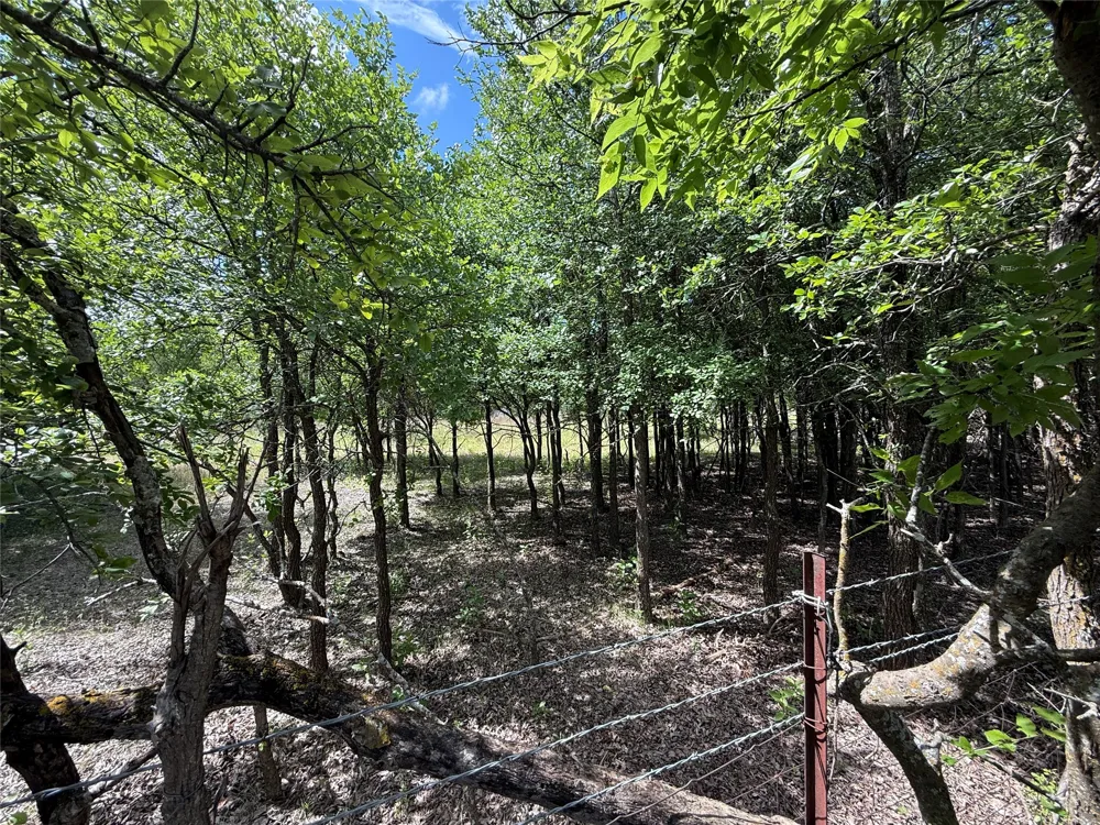 13272 Fm-2484 Salado, TX 76571
