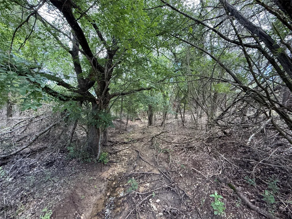 13272 Fm-2484 Salado, TX 76571