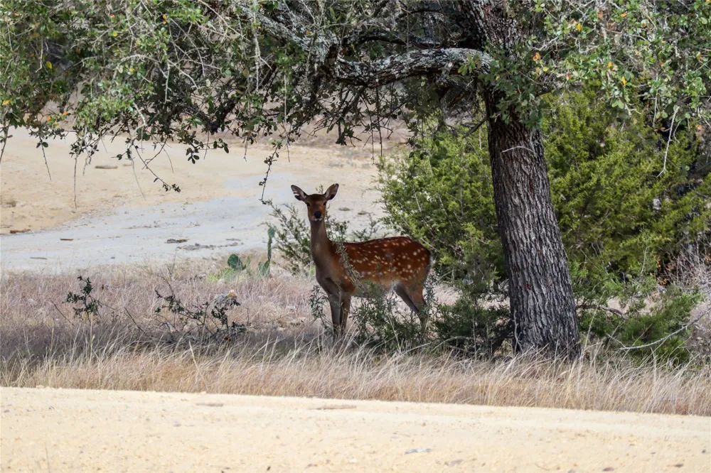 168 E Starview Cove Cove #Lot 168 Blanco, TX 78606