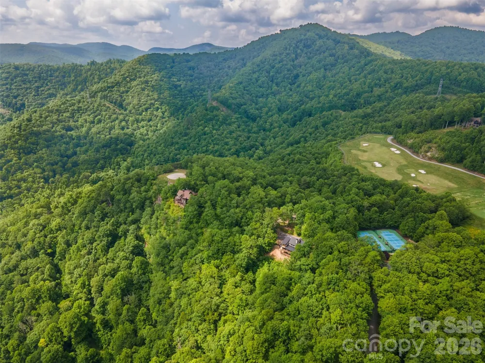633 Steeplebush Court Tuckasegee, NC 28783