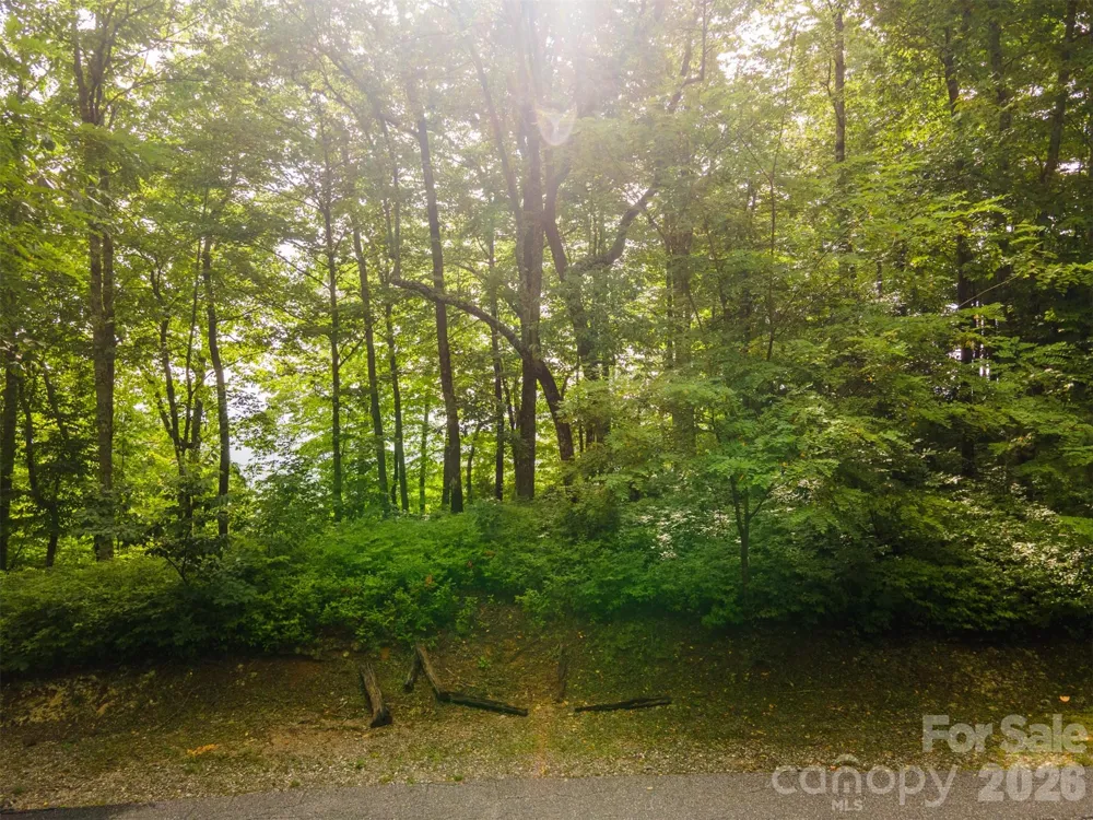 633 Steeplebush Court Tuckasegee, NC 28783