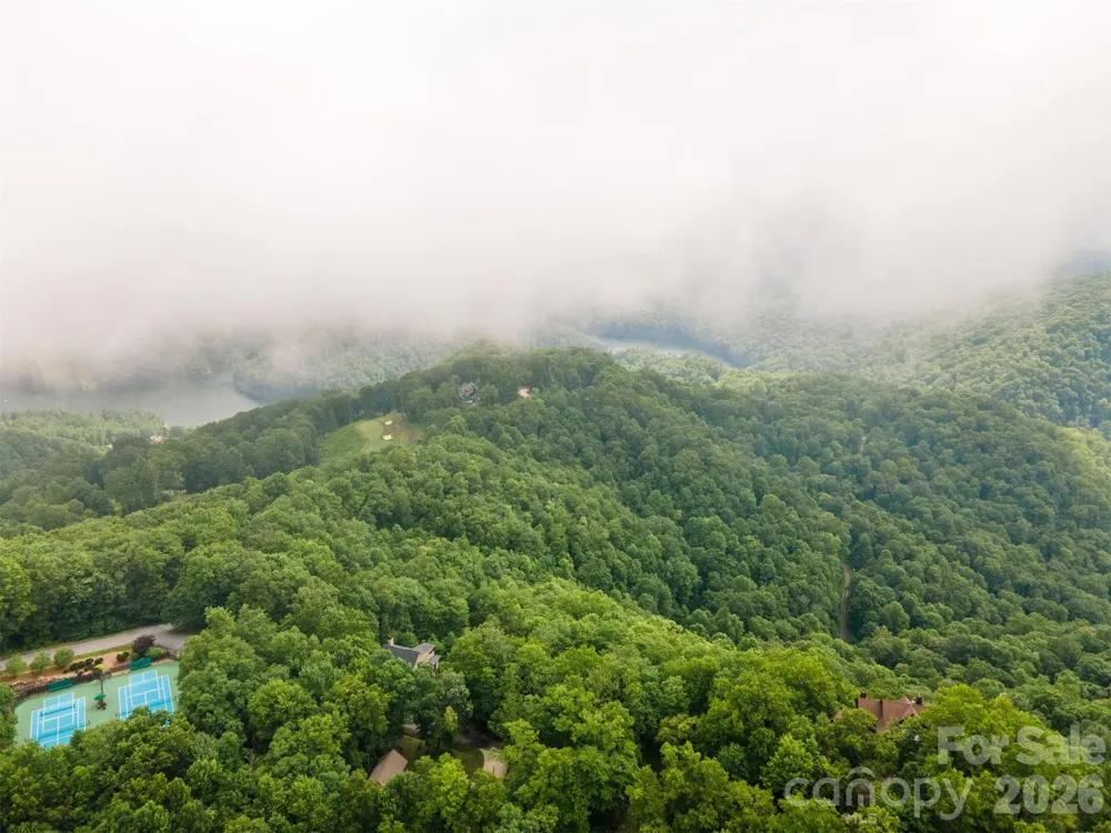 633 Steeplebush Court Tuckasegee, NC 28783