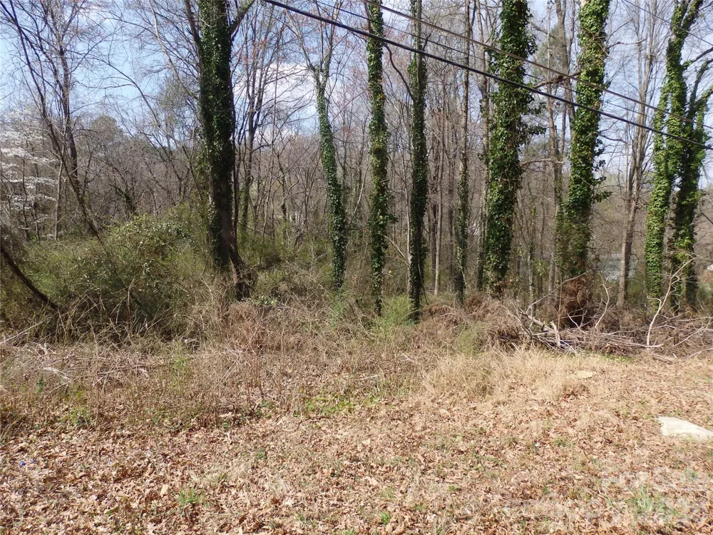 0 Chestnut Street #17-19 Asheboro, NC 27203