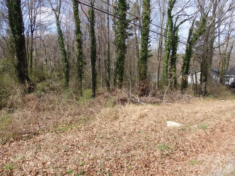 0 Chestnut Street #17-19 Asheboro, NC 27203