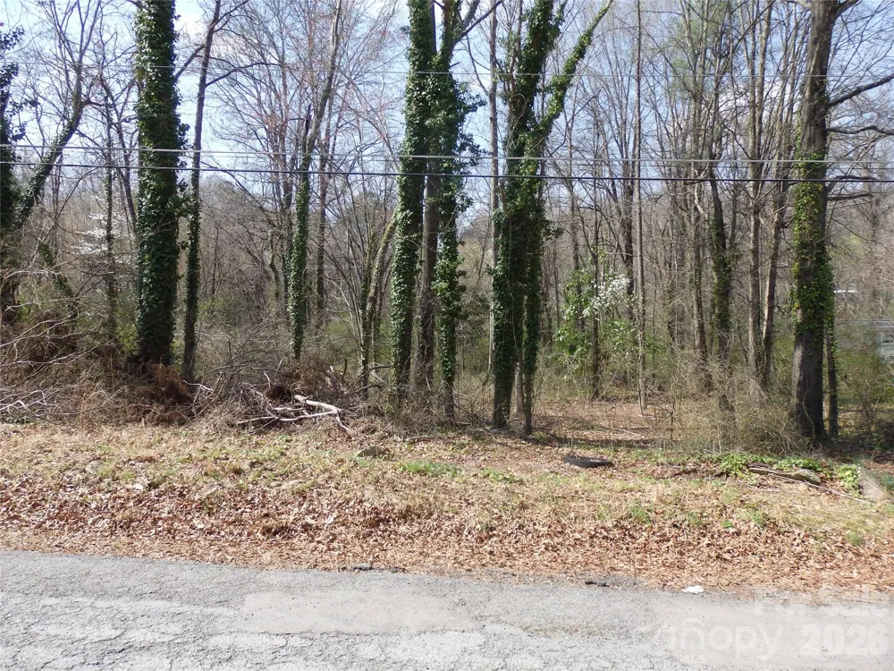 0 Chestnut Street #17-19 Asheboro, NC 27203