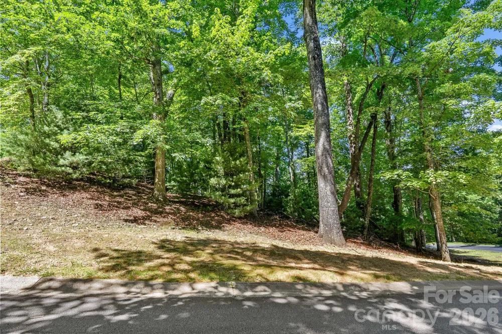 472 Mills River Way Horse Shoe, NC 28742