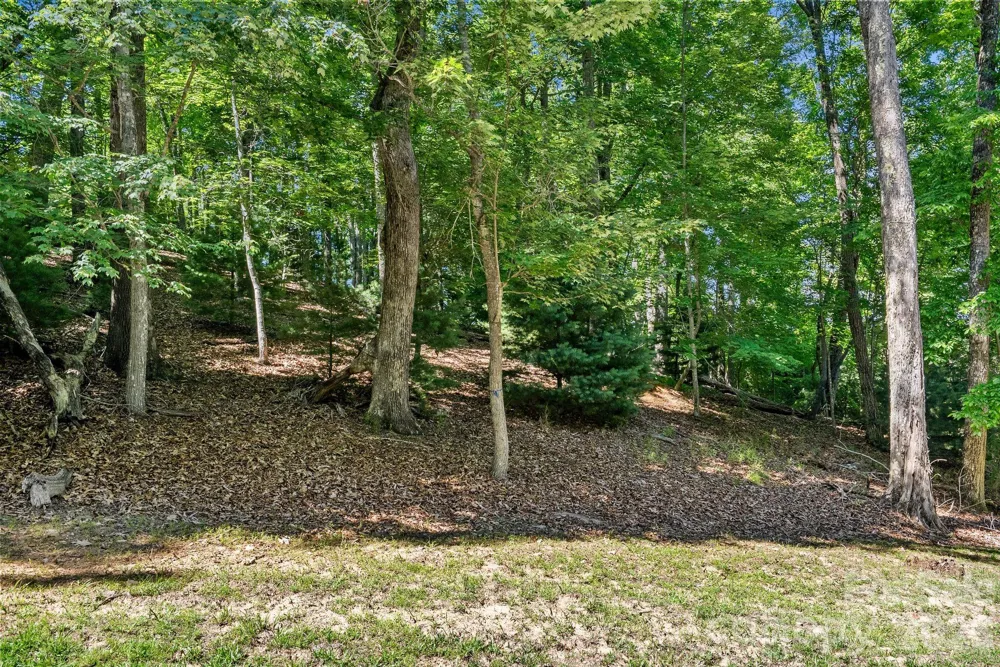 472 Mills River Way Horse Shoe, NC 28742
