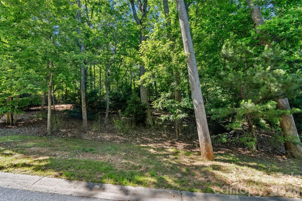 472 Mills River Way Horse Shoe, NC 28742