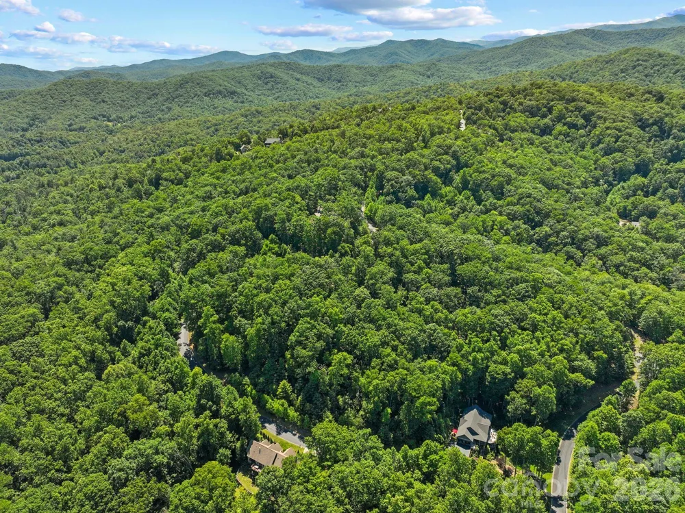 472 Mills River Way Horse Shoe, NC 28742