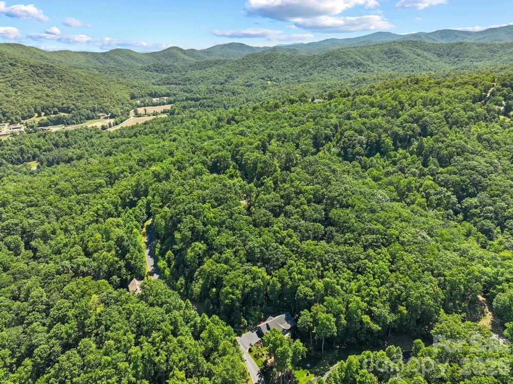 472 Mills River Way Horse Shoe, NC 28742