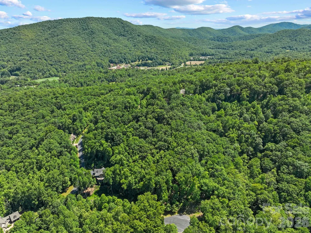 472 Mills River Way Horse Shoe, NC 28742
