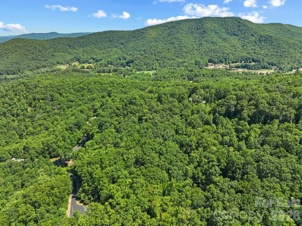 472 Mills River Way Horse Shoe, NC 28742