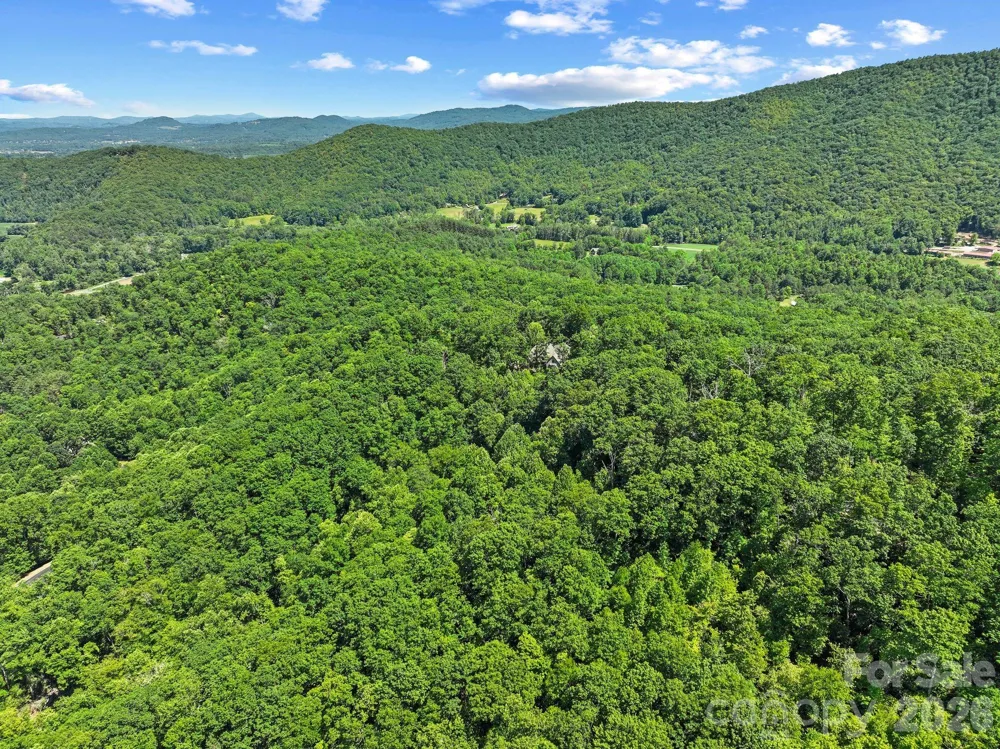 472 Mills River Way Horse Shoe, NC 28742