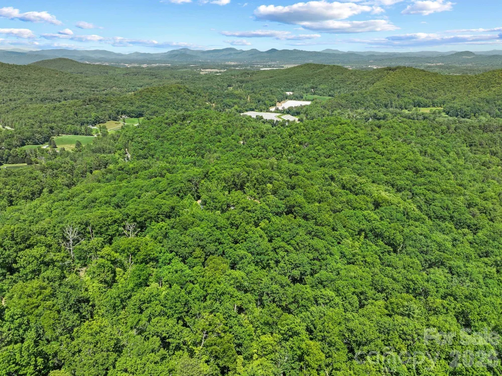 472 Mills River Way Horse Shoe, NC 28742