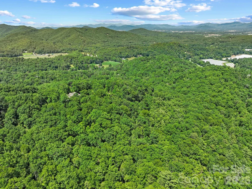 472 Mills River Way Horse Shoe, NC 28742