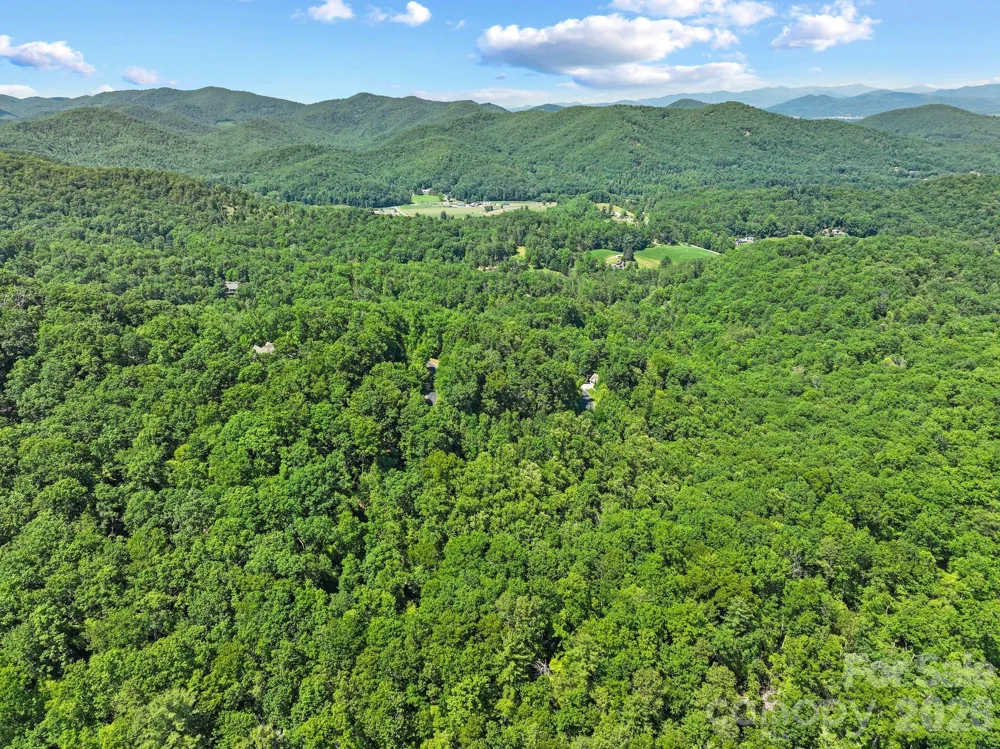 472 Mills River Way Horse Shoe, NC 28742