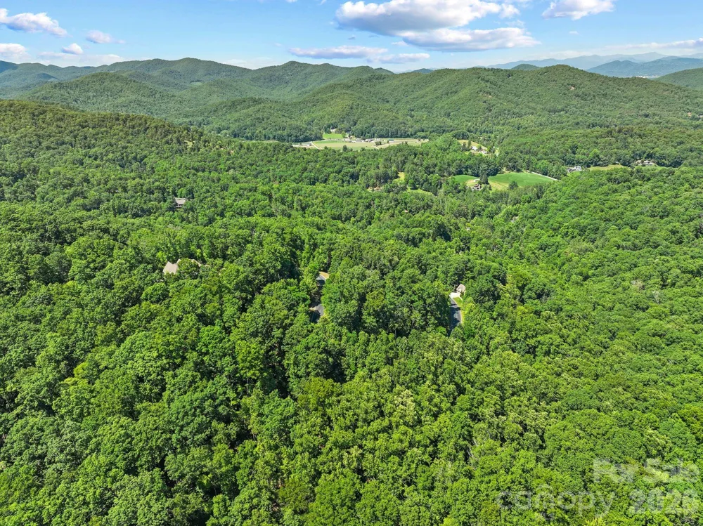 472 Mills River Way Horse Shoe, NC 28742