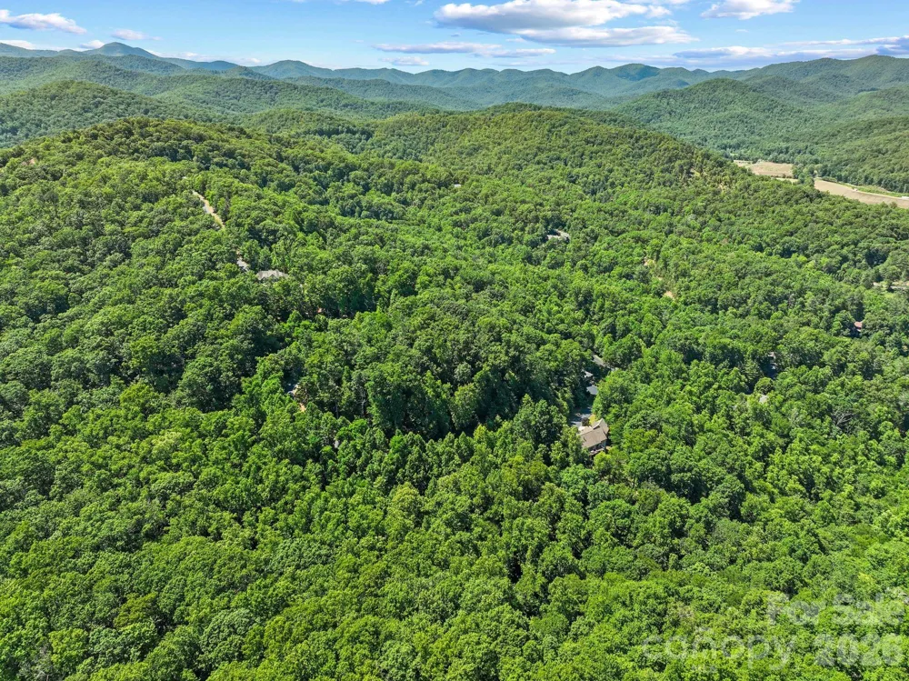 472 Mills River Way Horse Shoe, NC 28742