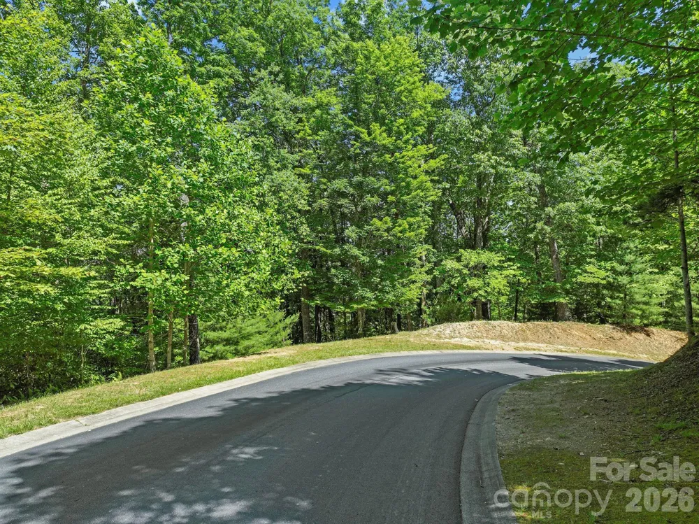 472 Mills River Way Horse Shoe, NC 28742