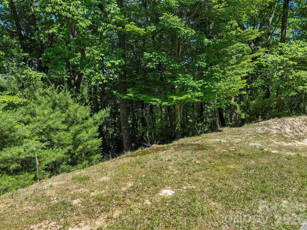 472 Mills River Way Horse Shoe, NC 28742