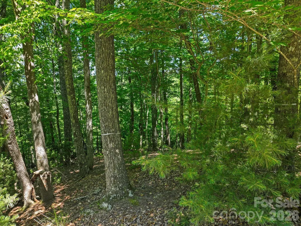 472 Mills River Way Horse Shoe, NC 28742