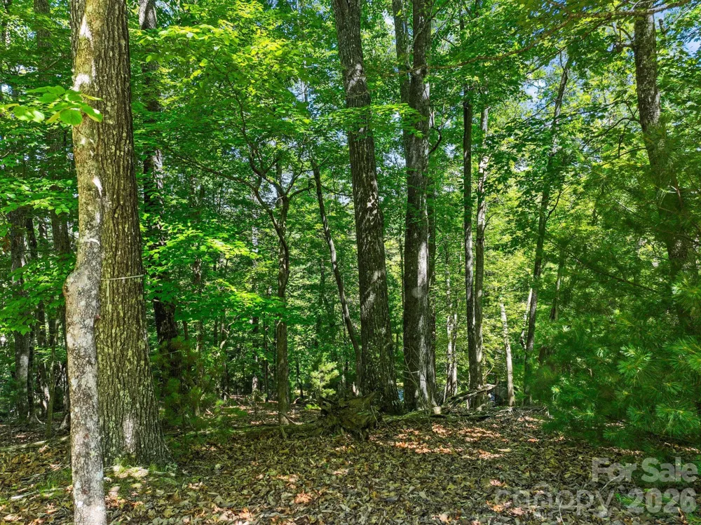 472 Mills River Way Horse Shoe, NC 28742
