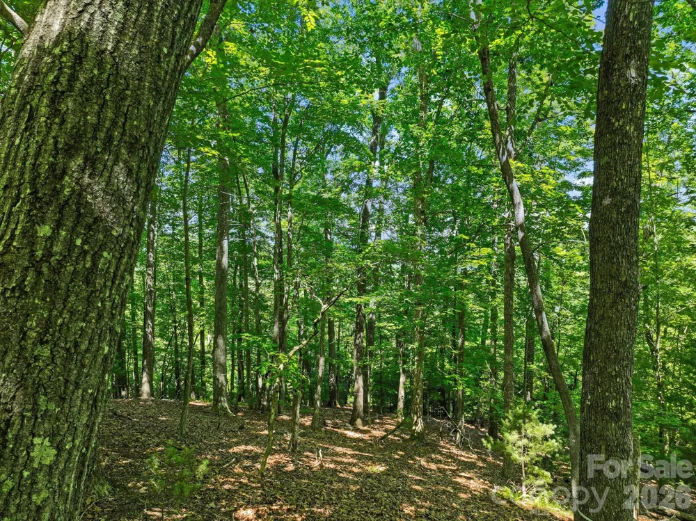472 Mills River Way Horse Shoe, NC 28742