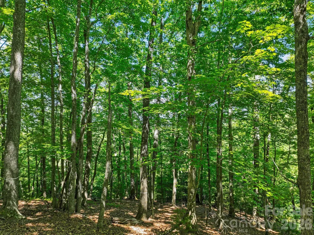 472 Mills River Way Horse Shoe, NC 28742