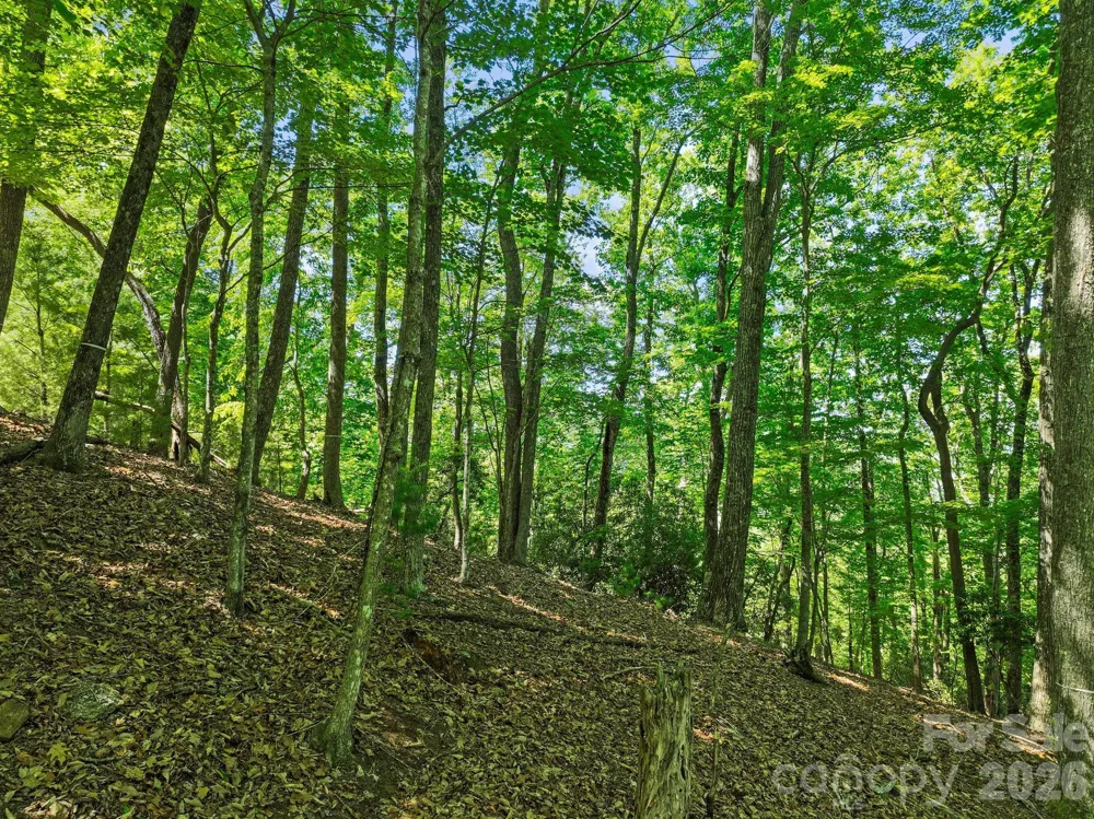 472 Mills River Way Horse Shoe, NC 28742