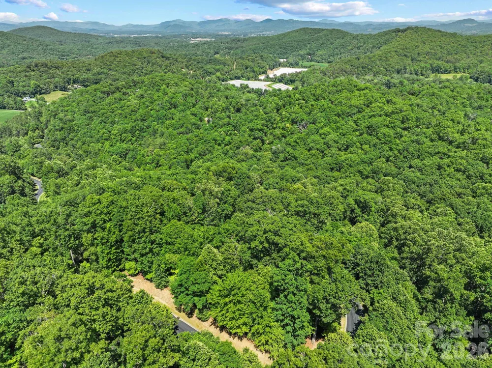 472 Mills River Way Horse Shoe, NC 28742