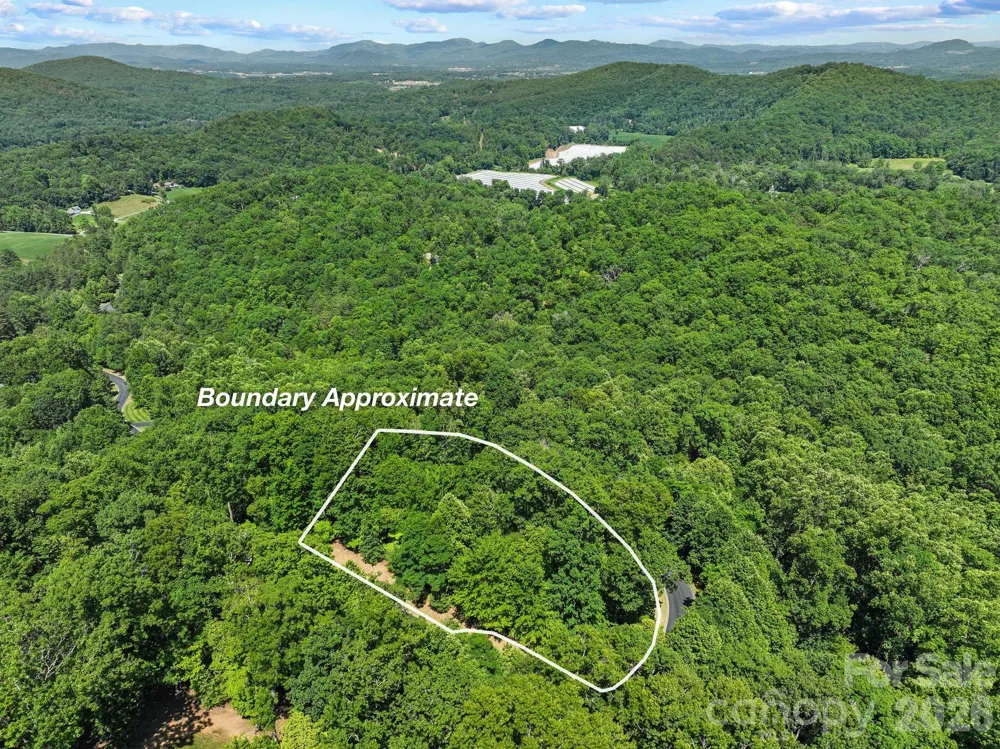 472 Mills River Way Horse Shoe, NC 28742
