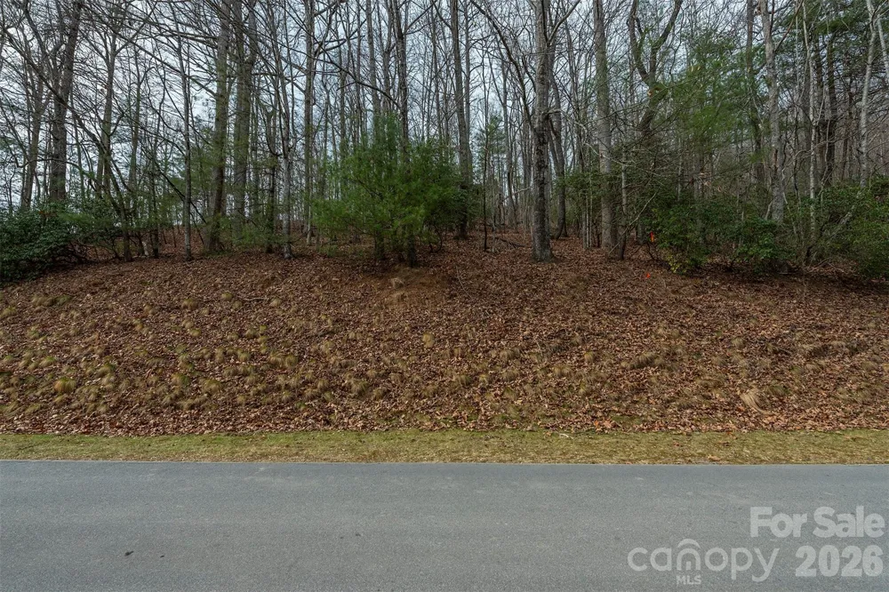 24 Falls Lane Hendersonville, NC 28739
