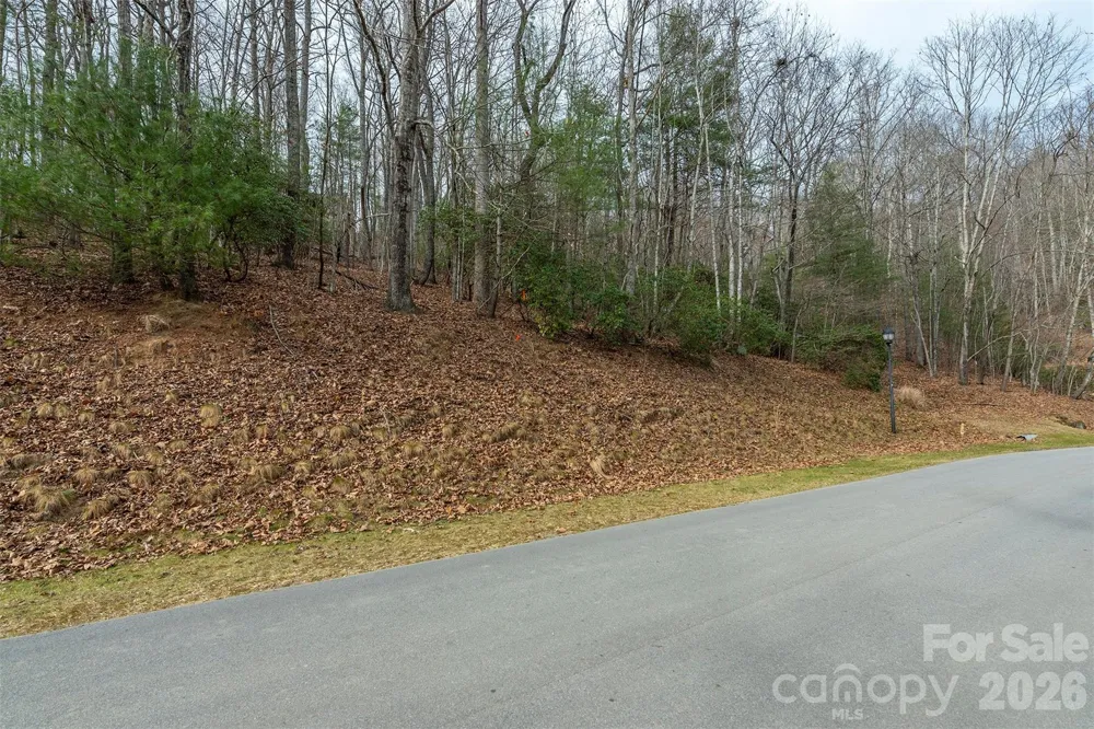24 Falls Lane Hendersonville, NC 28739