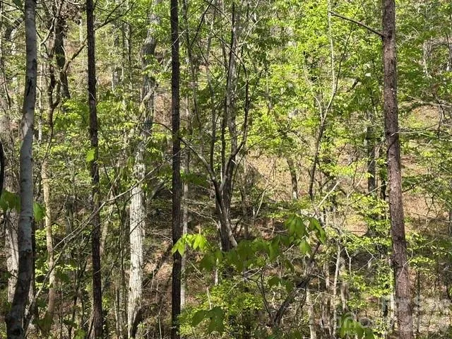 21 AC Sweet Hope Church Road Carlisle, SC 29031