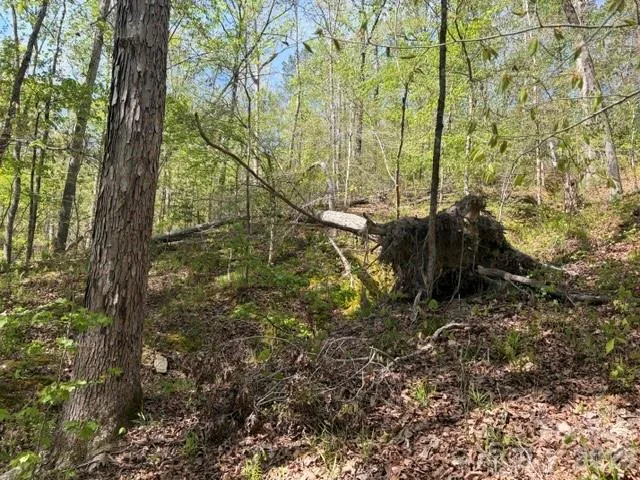 21 AC Sweet Hope Church Road Carlisle, SC 29031