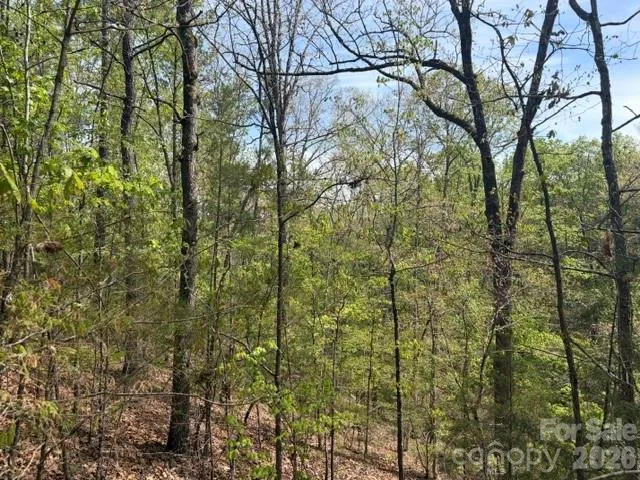 21 AC Sweet Hope Church Road Carlisle, SC 29031