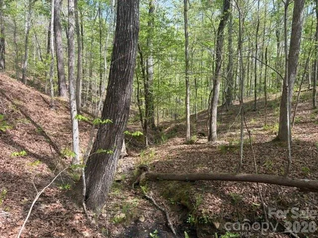 21 AC Sweet Hope Church Road Carlisle, SC 29031