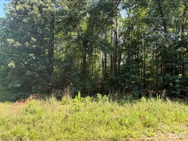 21 AC Sweet Hope Church Road Carlisle, SC 29031