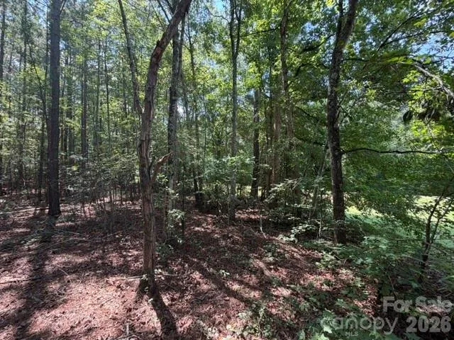 21 AC Sweet Hope Church Road Carlisle, SC 29031