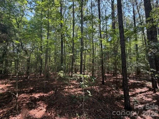 21 AC Sweet Hope Church Road Carlisle, SC 29031