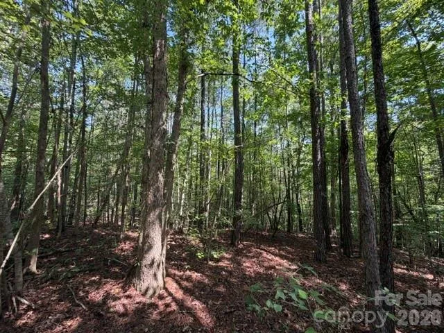 21 AC Sweet Hope Church Road Carlisle, SC 29031