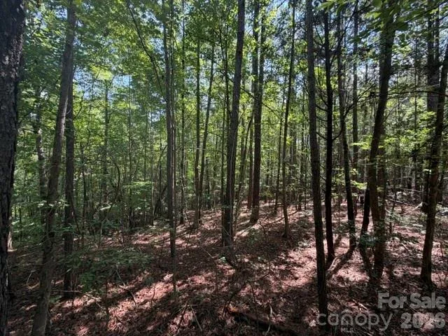 21 AC Sweet Hope Church Road Carlisle, SC 29031