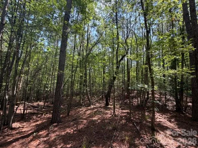 21 AC Sweet Hope Church Road Carlisle, SC 29031