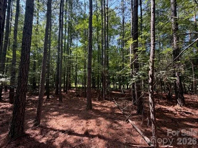 21 AC Sweet Hope Church Road Carlisle, SC 29031