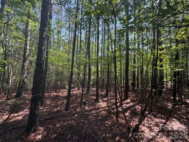 21 AC Sweet Hope Church Road Carlisle, SC 29031